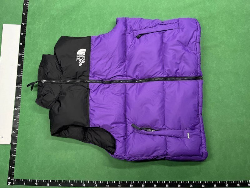 The north face down jacket vest (40 CP) -2