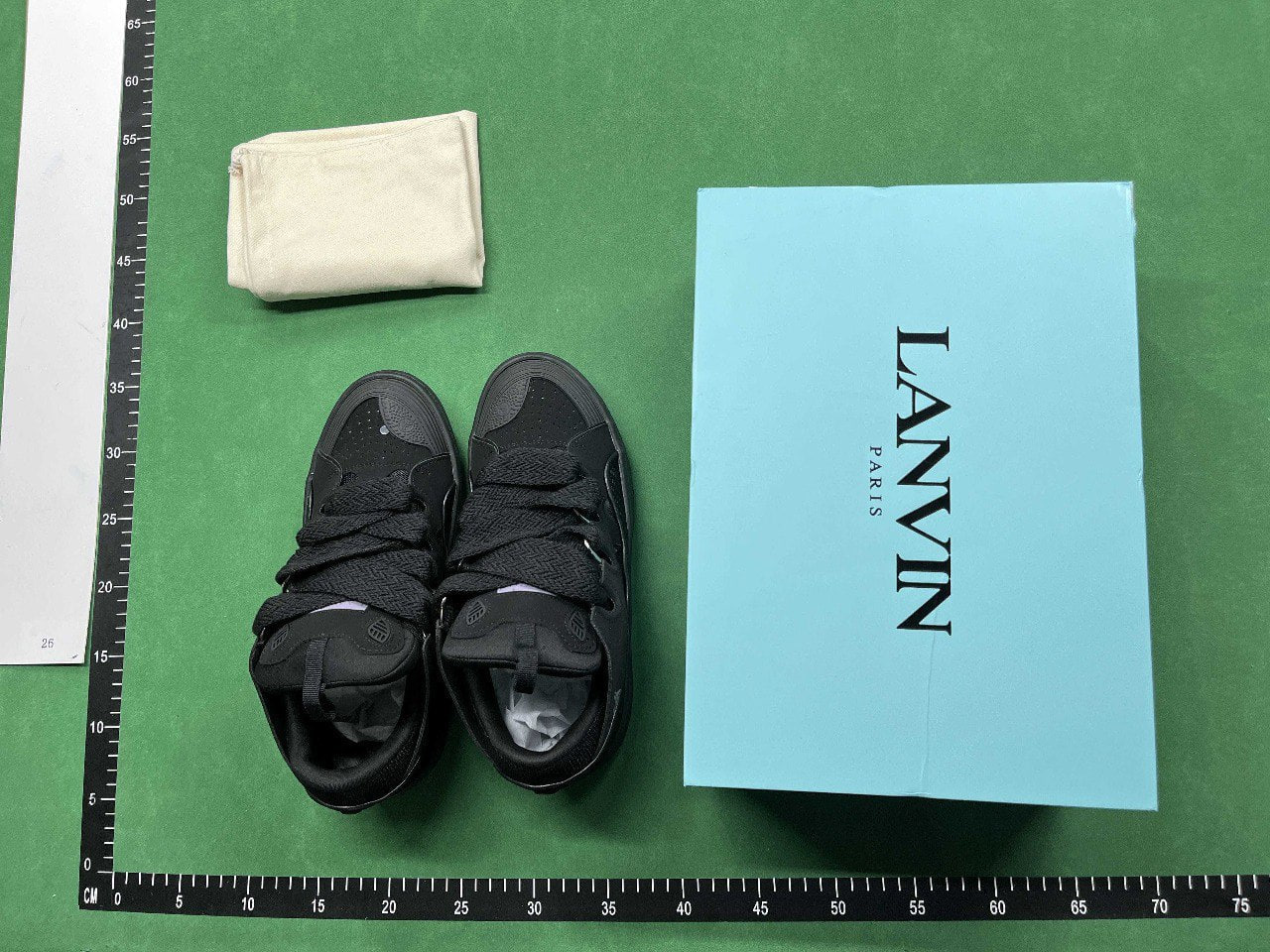 Lanvin Shoe -1
