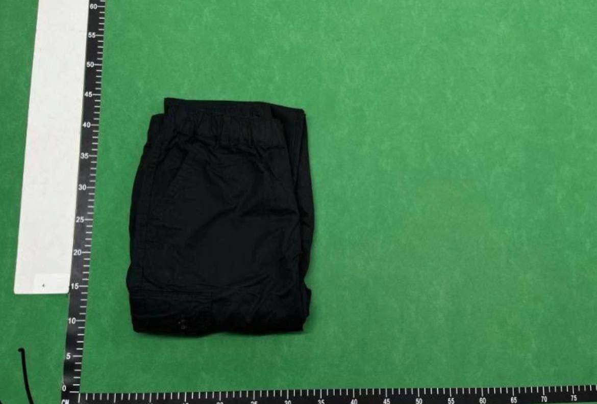 Carhart pants -1