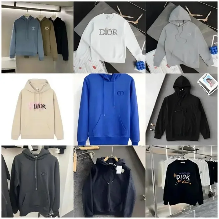 Dior Oblique Hoodie Sweatshirt