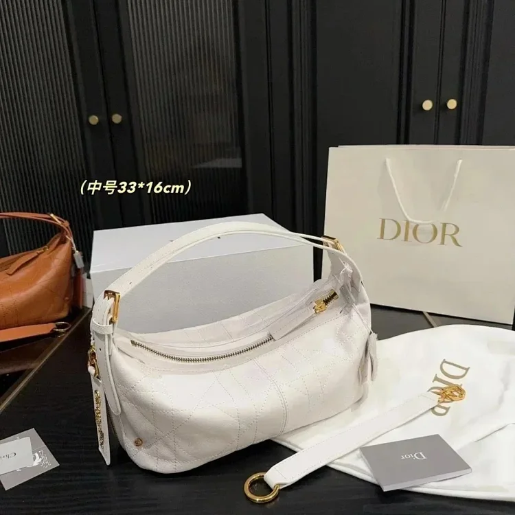 DIOR BAG -1
