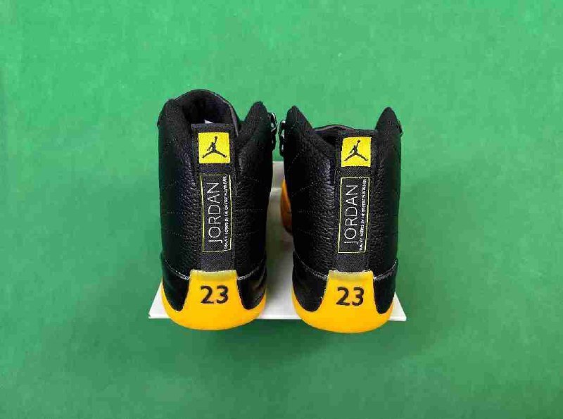 jordan 12 [25 Colors] -1