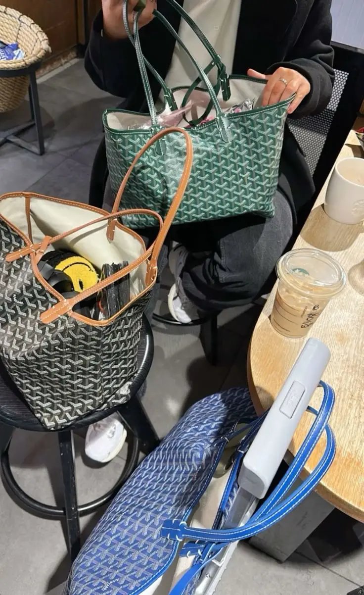 Goyard bag -1