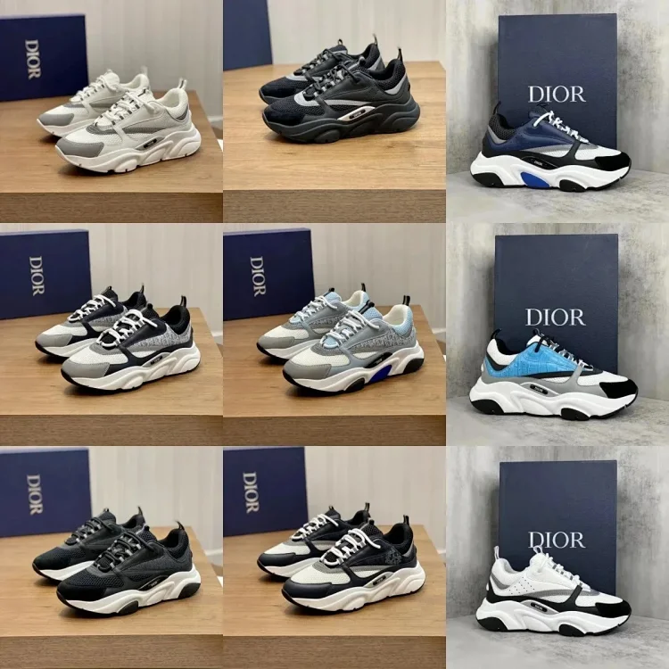 Dior B22