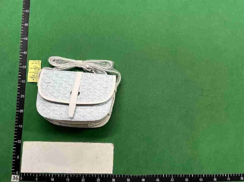 Goyard Bag -3