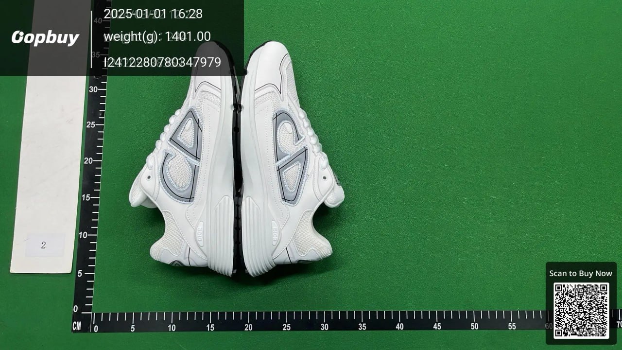 Dior B30 Sneakers Shoes （30 -2