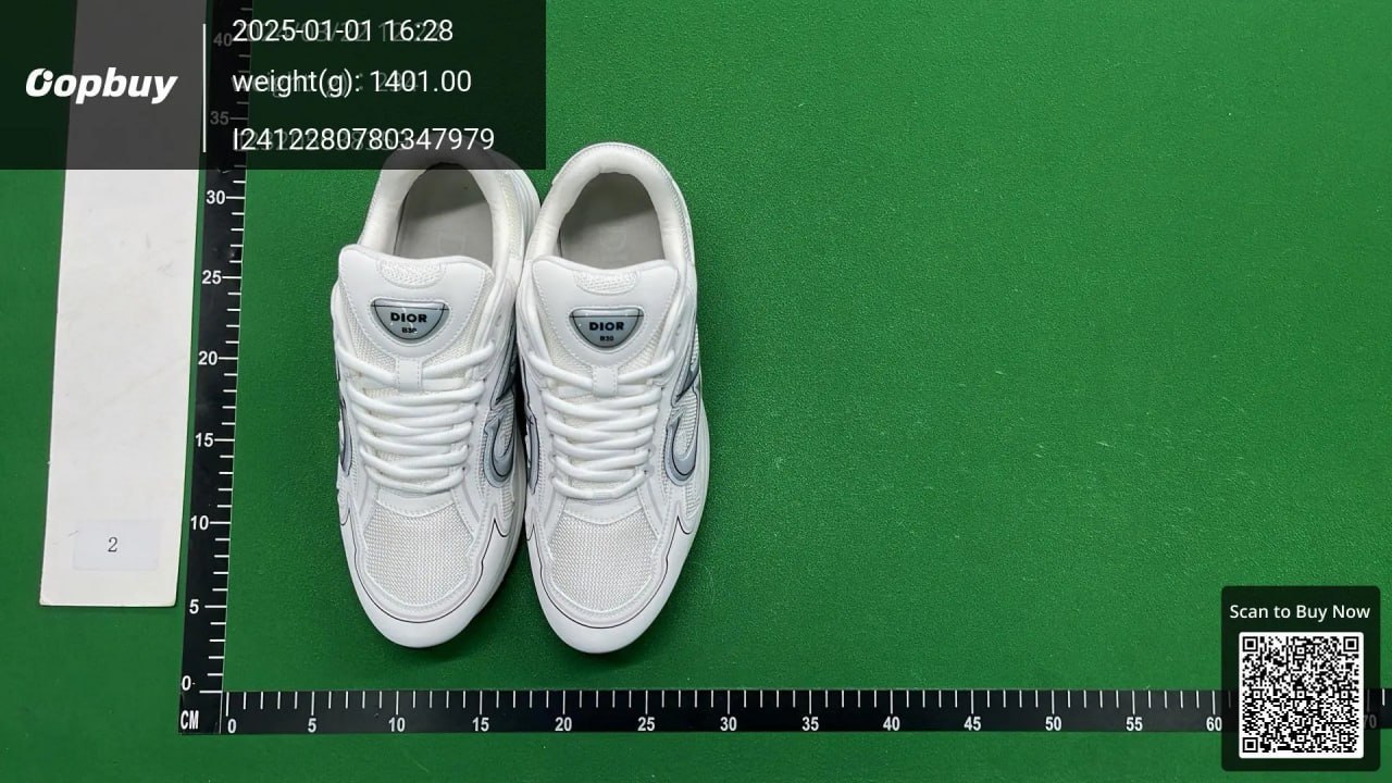 Dior B30 Sneakers Shoes （30 -3