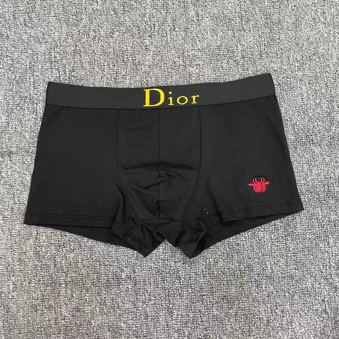 Dior Underwear -1
