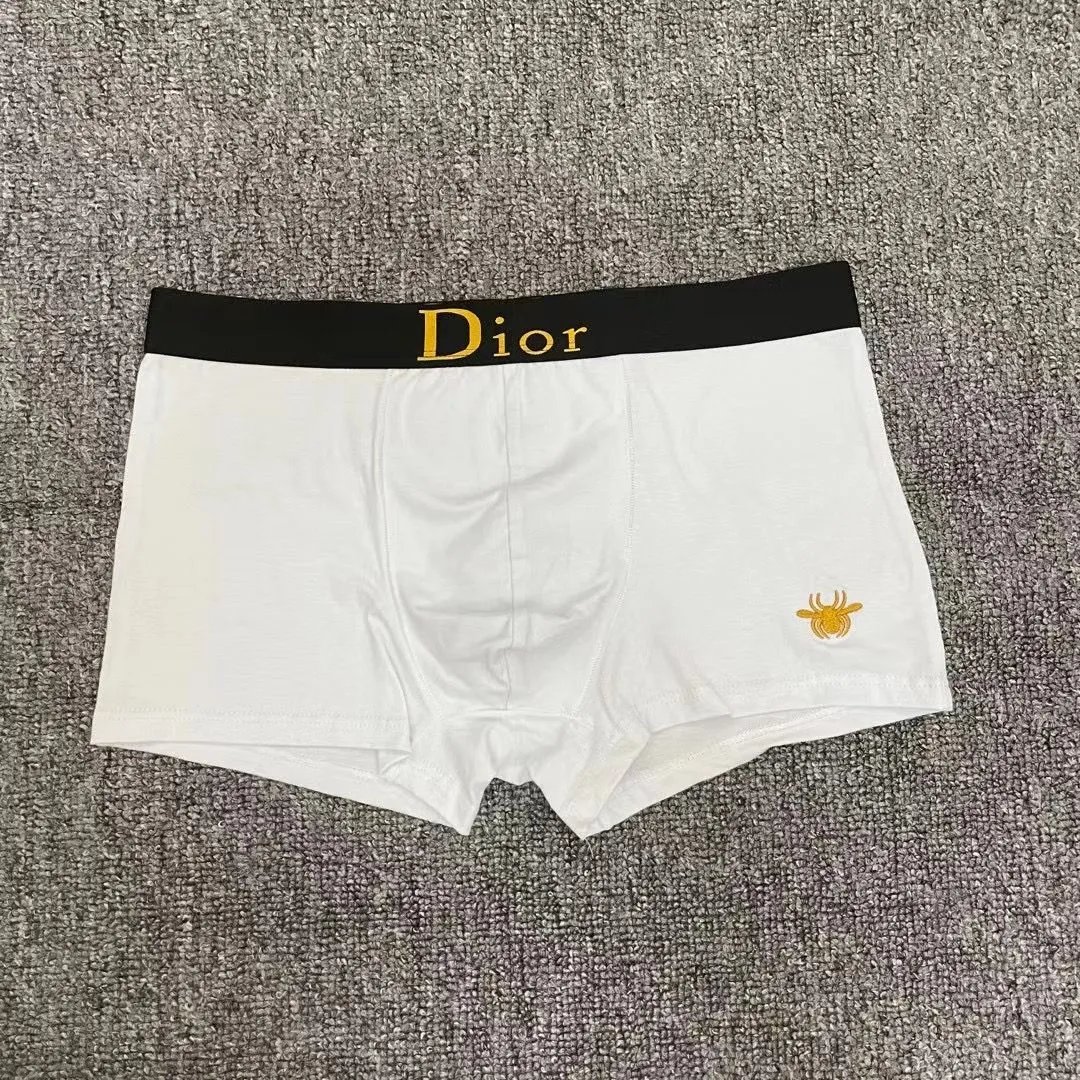 Dior Underwear -2