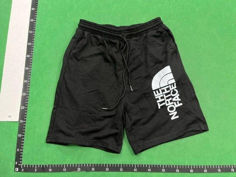 The North face Shorts -2