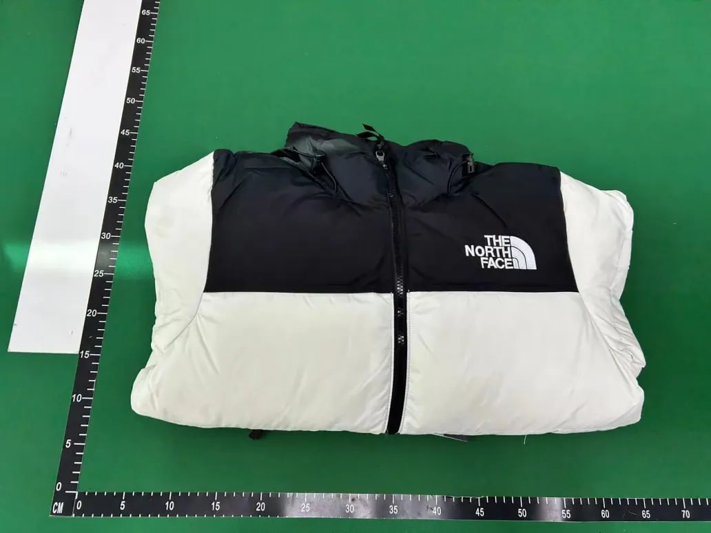 The North Face Down Jackets -2