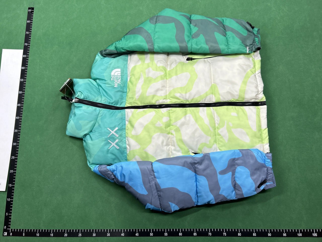 The North Face Down Jackets -4