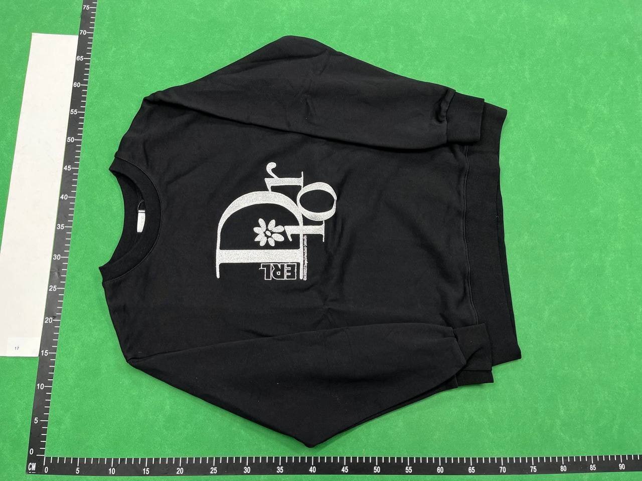 dior hoodie(30 CP) -5