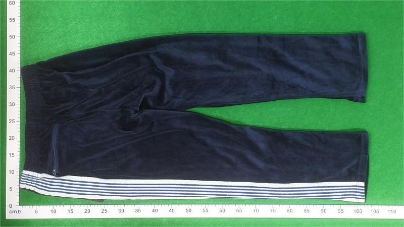 Needles Track Pants -4