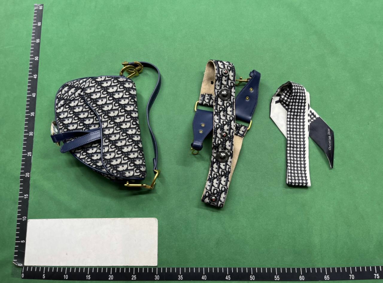 Dior camera bag -4