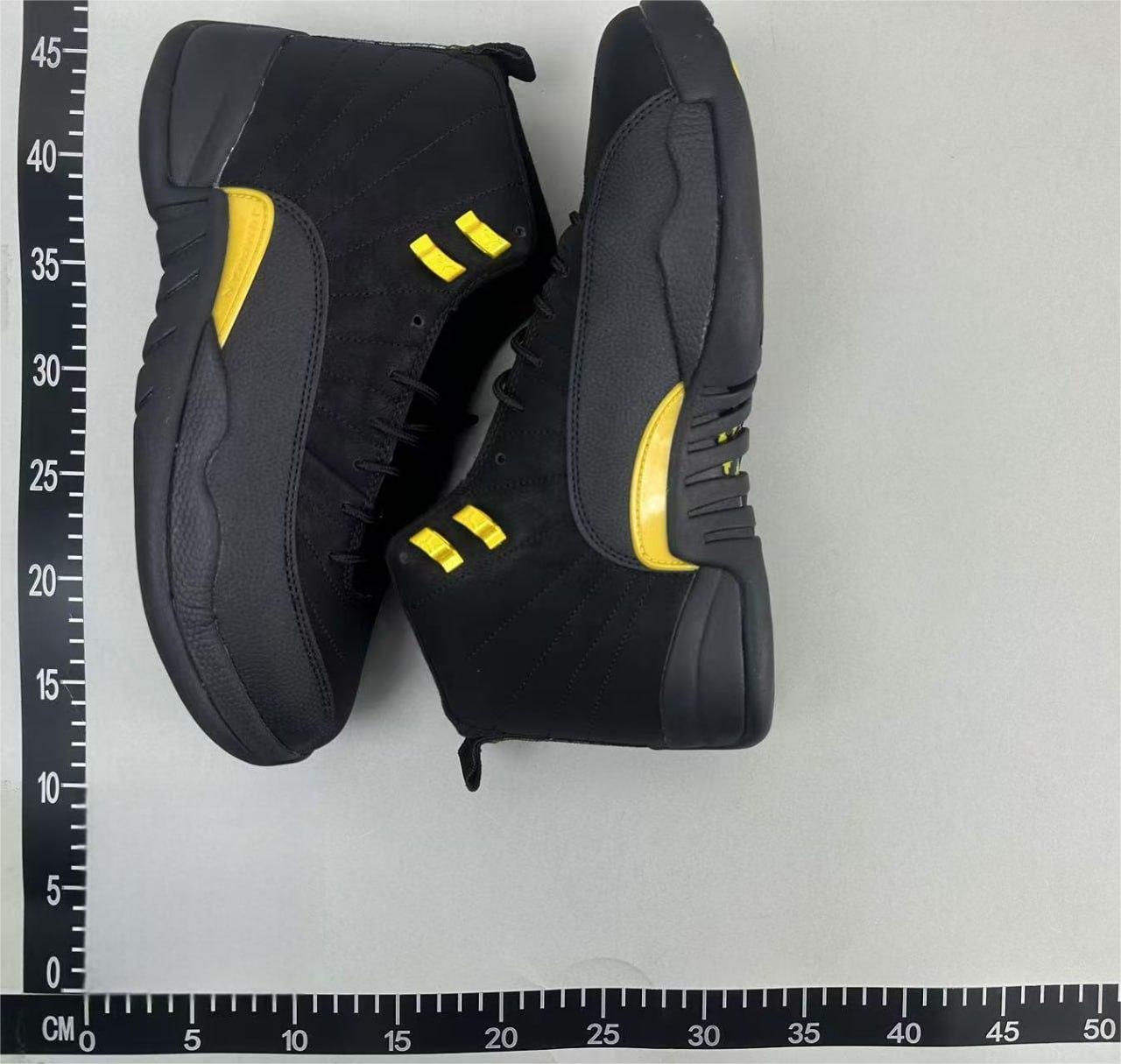 Jordan 12 -3