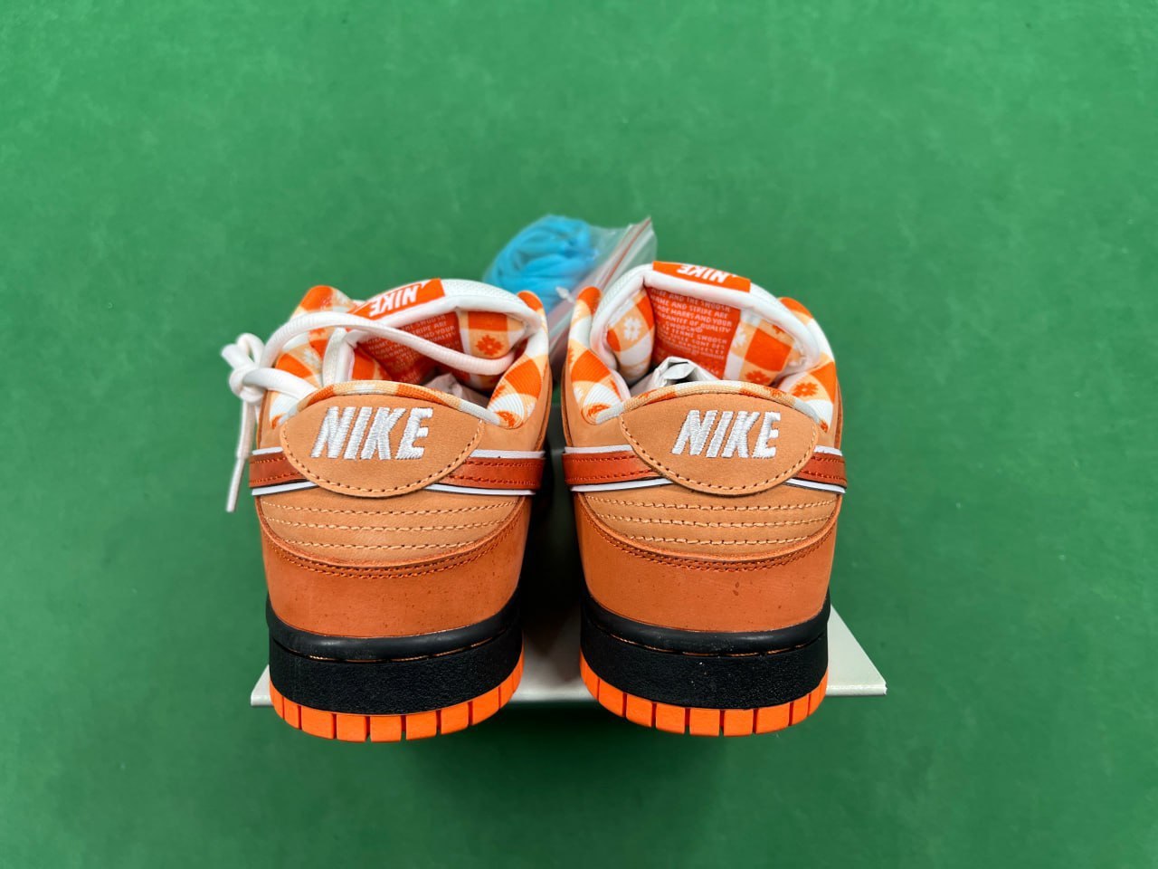 AY-DUNK B -3